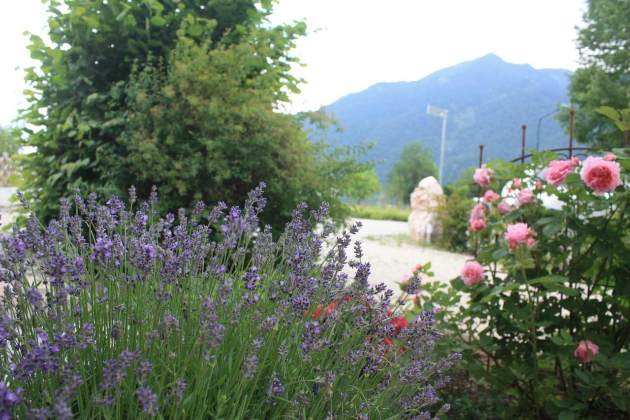 Bed and Breakfast Landlust Ischl Bad Ischl Esterno foto